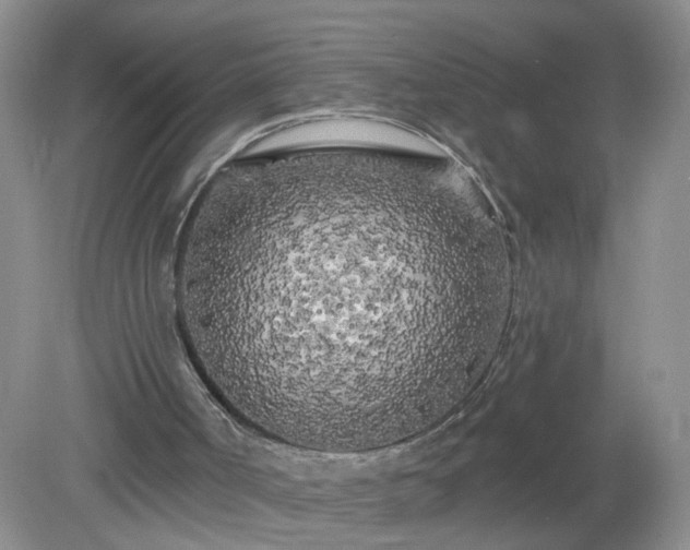 X0000079330002200611251843
