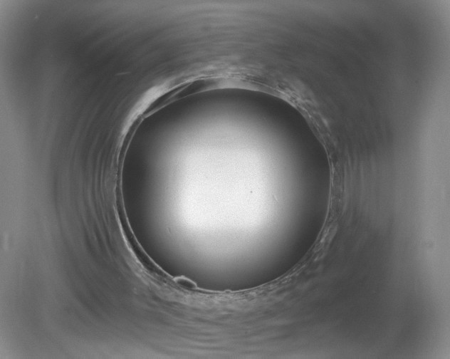 X0000079330003200611251843