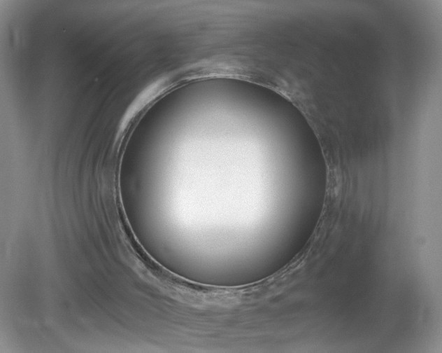 X0000079330004200611251843