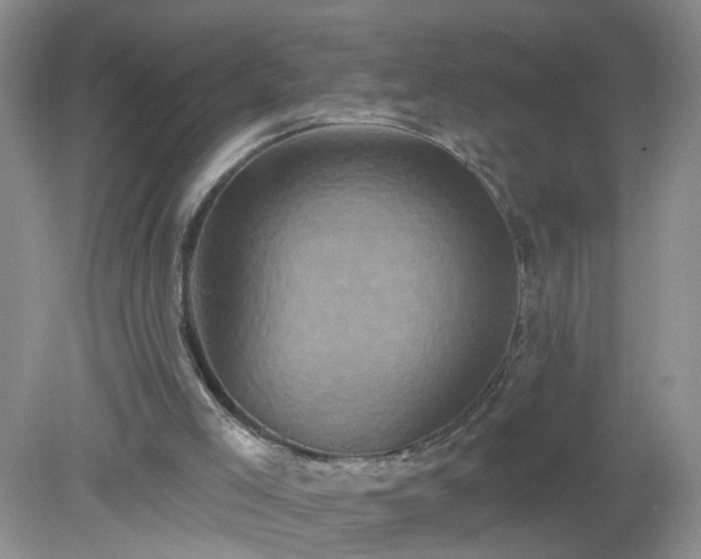 X0000079330005200611251843