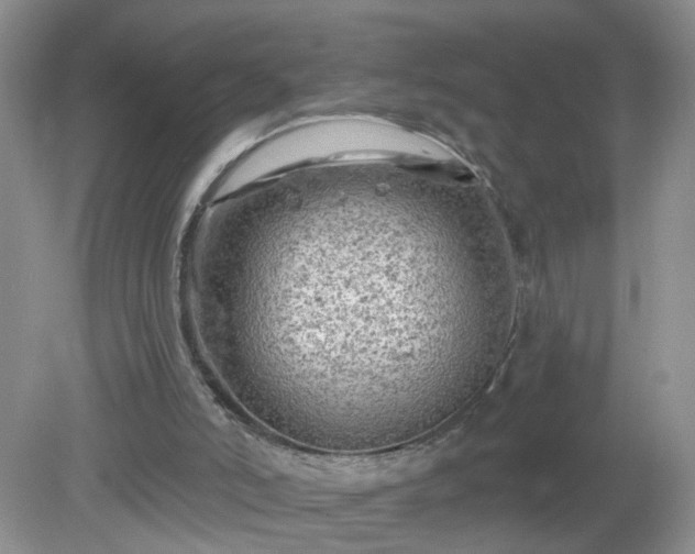 X0000079330006200611251843
