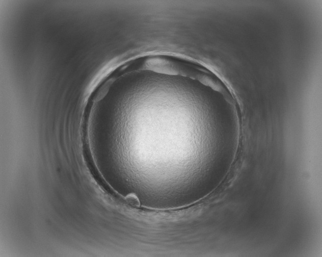 X0000079330007200611251843
