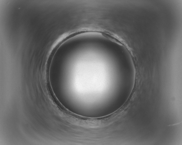 X0000079330008200611251843