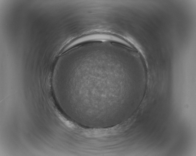X0000079330009200611251843