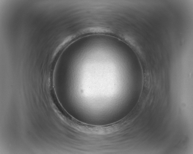 X0000079330015200611251843