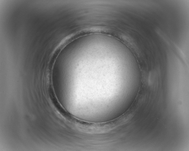 X0000079330016200611251843