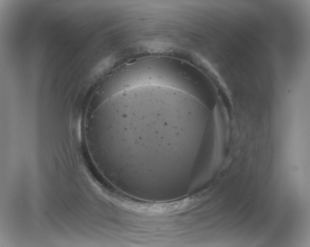 X0000079330019200611251843
