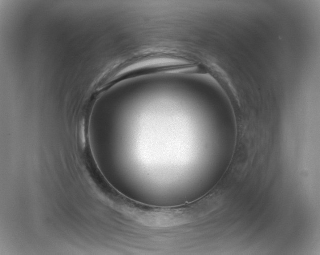 X0000079330020200611251843