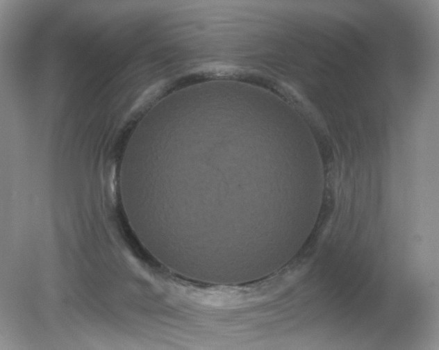 X0000079330024200611251842