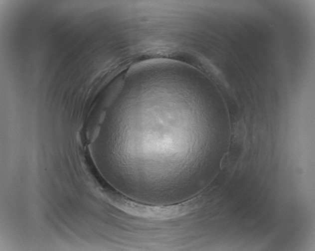 X0000079330027200611251842