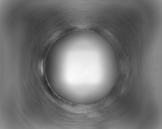 X0000079330028200611251842