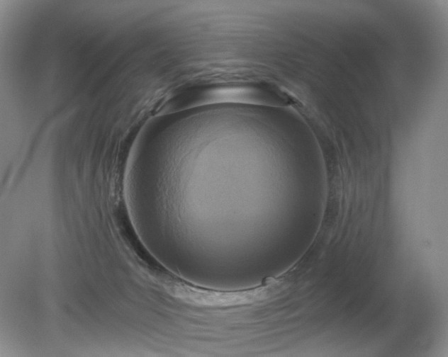 X0000079330031200611251842
