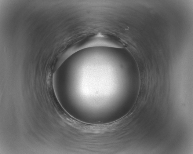 X0000079330033200611251842