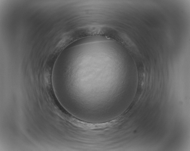 X0000079330035200611251842