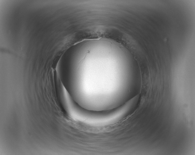 X0000079330037200611251842