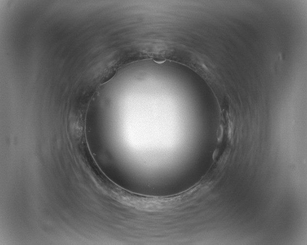 X0000079330040200611251842