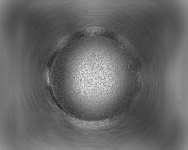X0000079330042200611251842