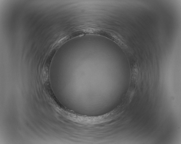 X0000079330043200611251842