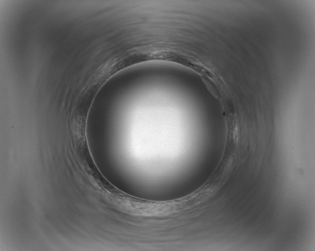 X0000079330044200611251842