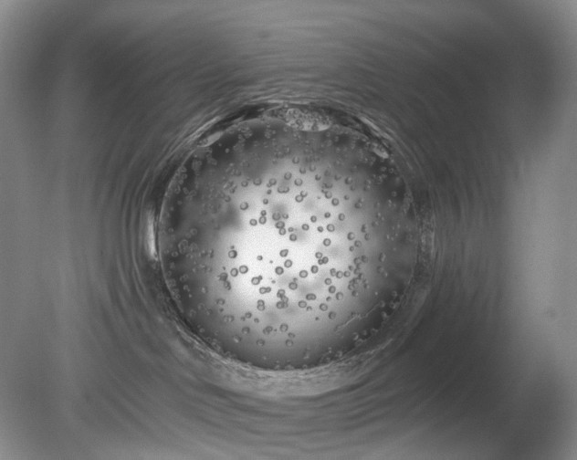 X0000079330046200611251842