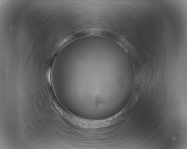 X0000079330047200611251842