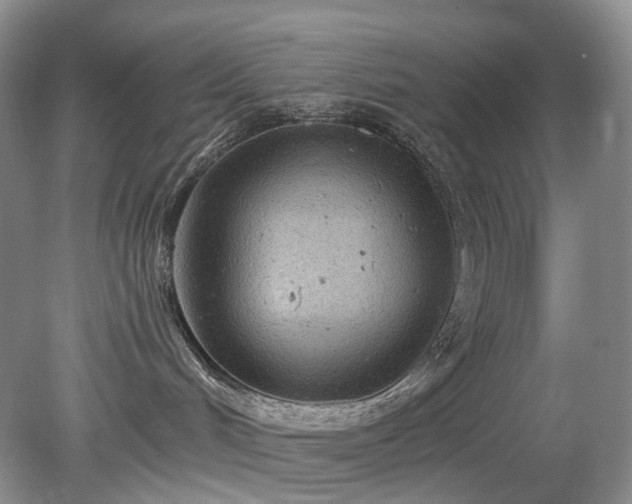 X0000079330048200611251842