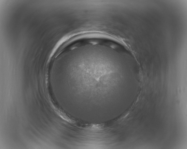 X0000079330056200611251841