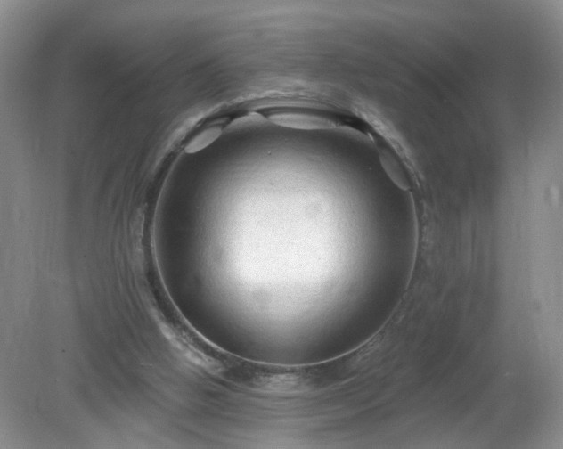 X0000079330058200611251841