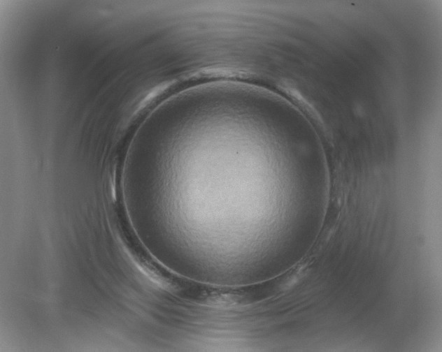 X0000079330062200611251841