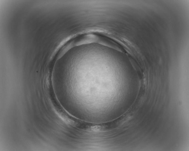 X0000079330064200611251842