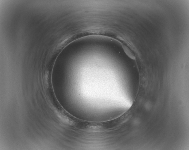 X0000079330066200611251842