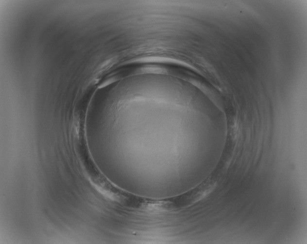 X0000079330072200611251842