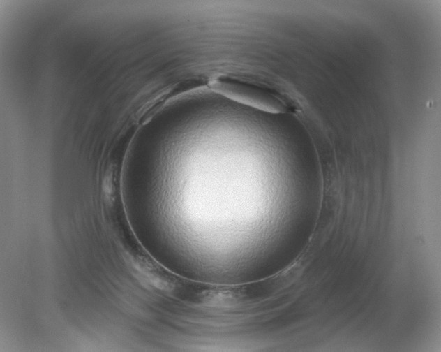 X0000079330074200611251842