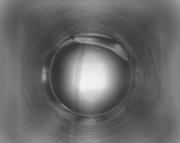 X0000079330075200611251842