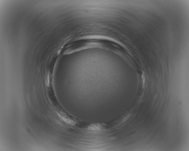 X0000079330076200611251842