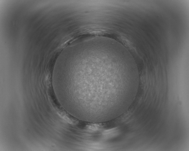 X0000079330079200611251842