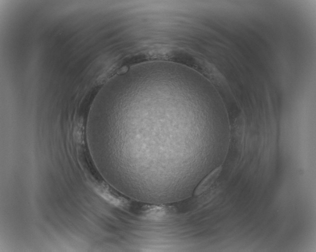 X0000079330083200611251842