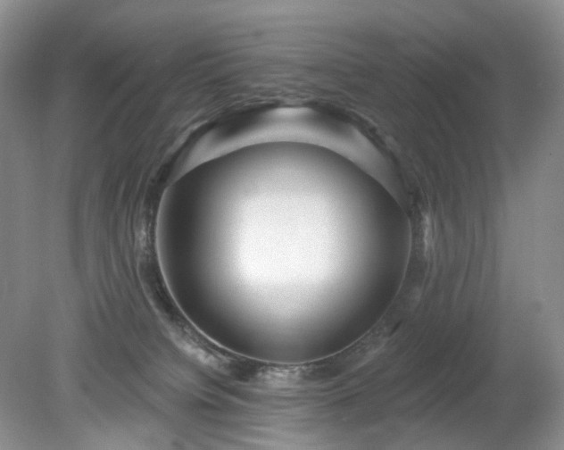 X0000079330084200611251842