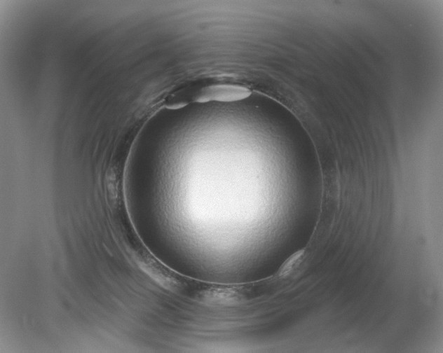 X0000079330086200611251842