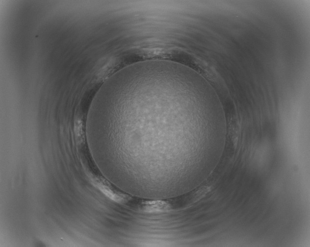 X0000079330087200611251842