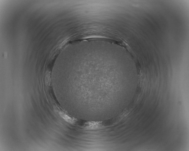 X0000079330093200611251842