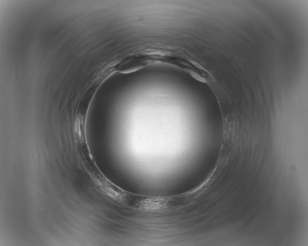 X0000079330094200611251842