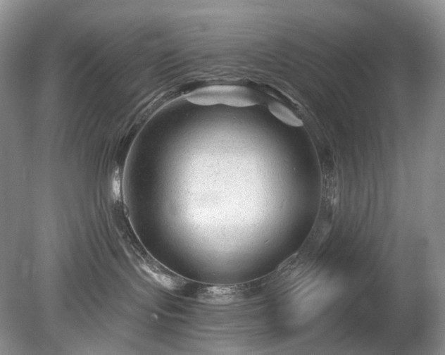 X0000079330095200611251842