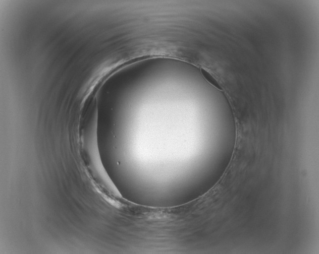 X0000079330098200611251841