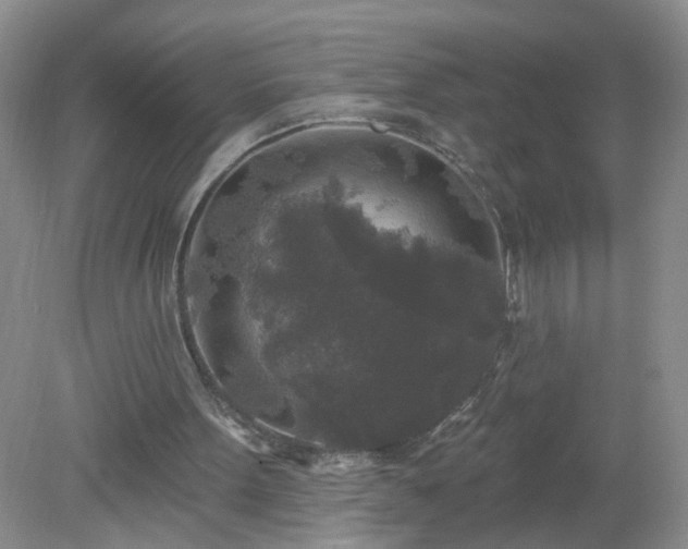 X0000079330099200611251841