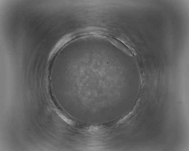 X0000079330101200611251841