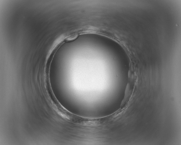 X0000079330102200611251841