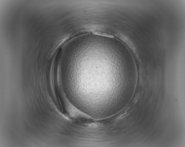 X0000079330105200611251841