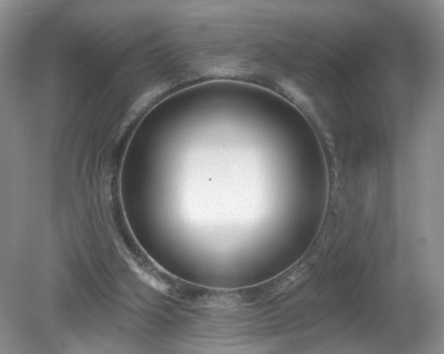 X0000079330106200611251841