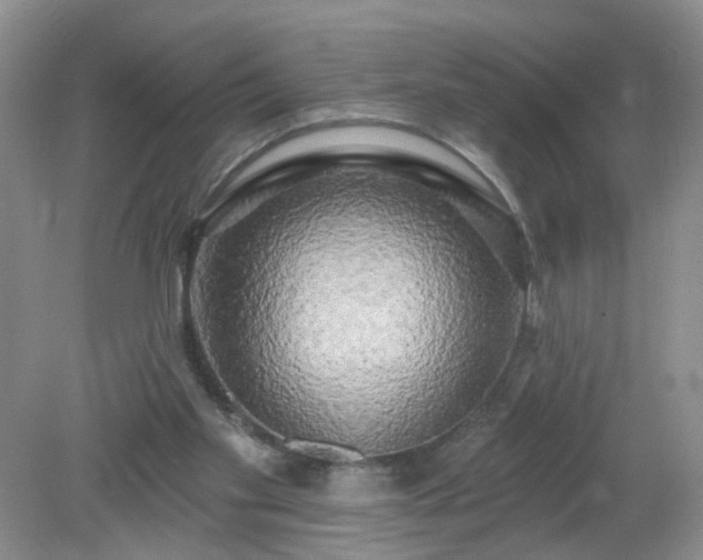 X0000079330109200611251841